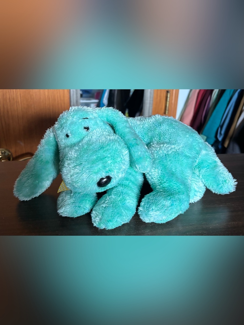 TY Classic “Diddley” the green/blue dog
